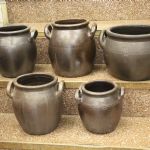 884 9525 JAM-POTS